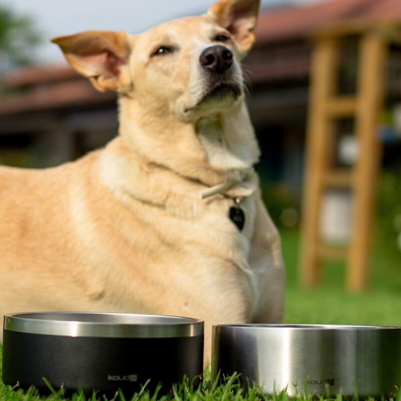 Comedouro Kouda 950ml - Pet Bowl - Preto